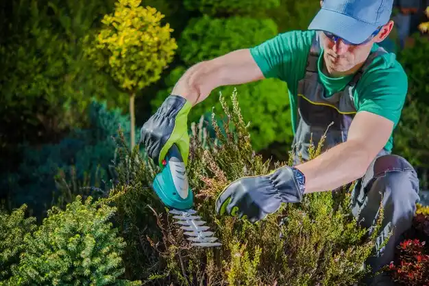 landscaping services Valley Cottage